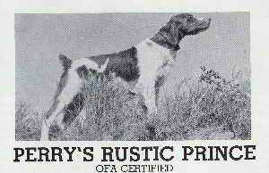 Perry's Rustic Prince